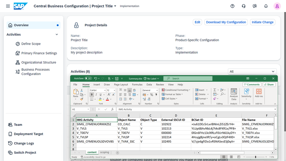 Screenshot of SAP Central Business Configuration and the summary spreadsheet